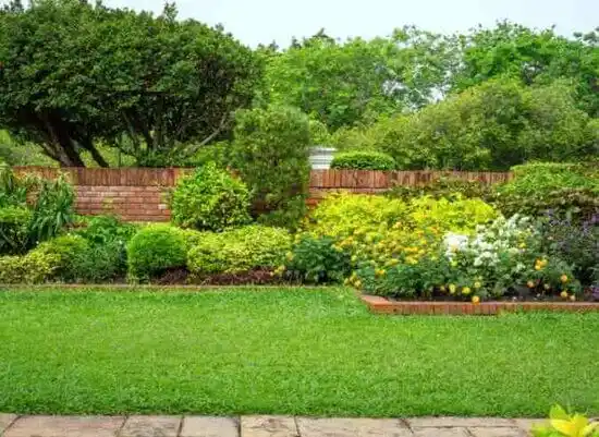 landscaping services Zebulon